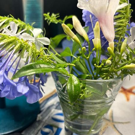 Chia Delizioso Nido Verde Nel Blu 외부 사진